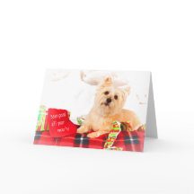 Carte de Cairn Terrier
