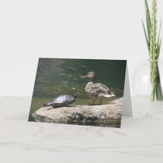 Carte de canard Hello (Devant)