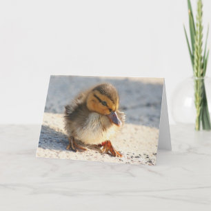 Carte de caneton de canard de bébé