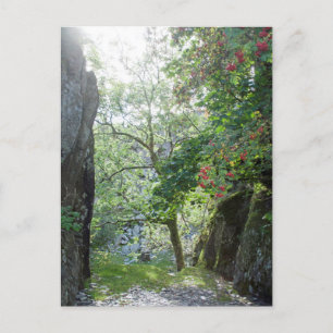 Carte de carrière Tilberthwaite Rowan Tree