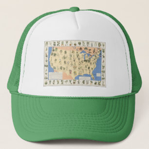 Carte de casquette de fines herbes de remèdes