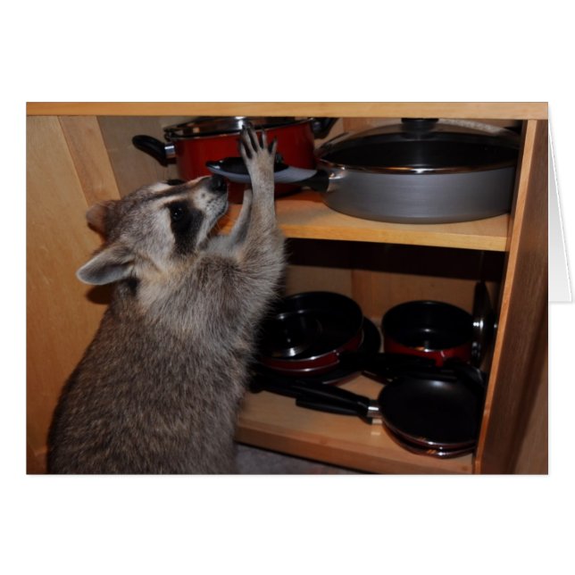 carte de casserole d'étole (Devant horizontal)