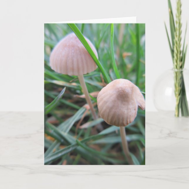 Carte de champignons vide (Devant)