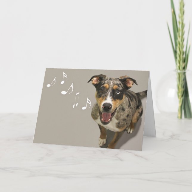 Carte de chant Catahoula par accent pour une cause (Devant)