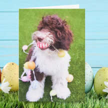 Carte de chasse aux oeufs de Pâques Cute Labradood