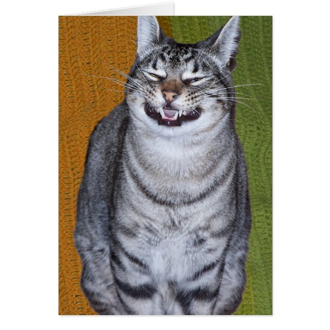 Carte de chat à grain (Devant)