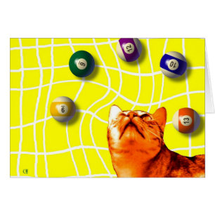 Carte de chat de billards