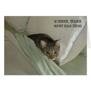 Carte de chat de LOL