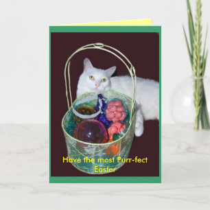 Carte de chat de Pâques