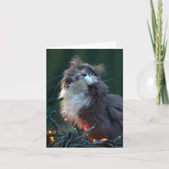 Carte de chat de vacances de Noël de Meowy (Devant)
