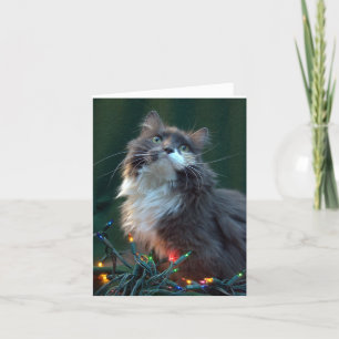 Carte de chat de vacances de Noël de Meowy