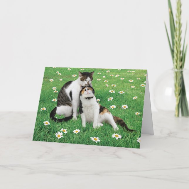 Carte de chat drôle et mignonne pour anniversaire  (Devant)