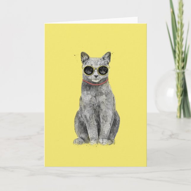 Carte de chat été (Devant)