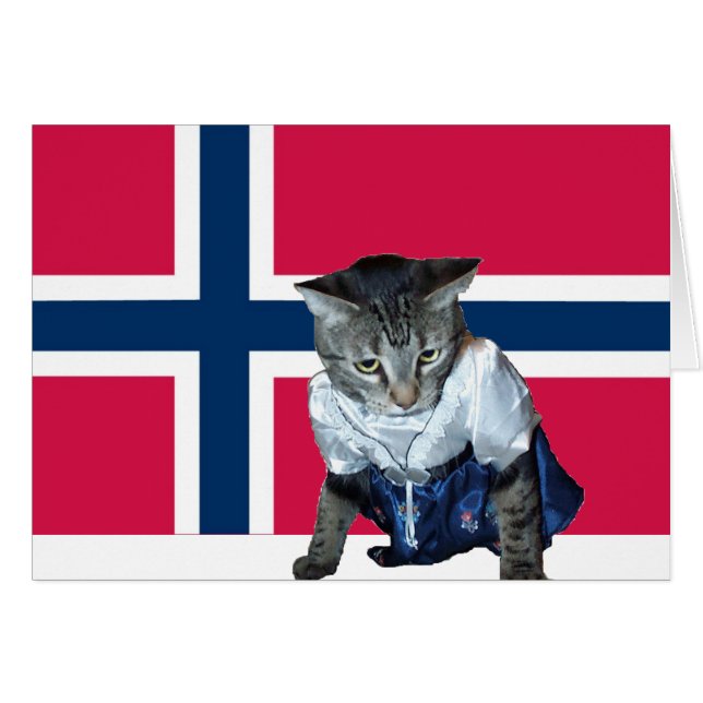 Carte de chat norvégienne "Gratulerer med dagen" (Devant horizontal)