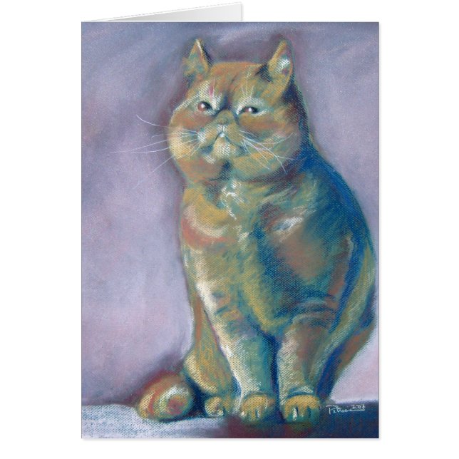 Carte de chat persan (Devant)