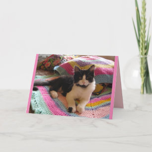 Carte de chat Tuxedo Mignon Endormi sur Tapis au C