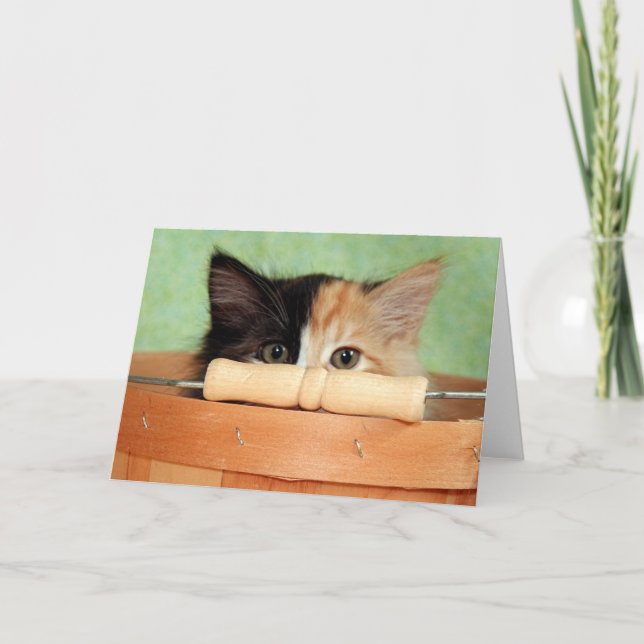Carte de chaton de calicot de délivrance de chat (Devant)