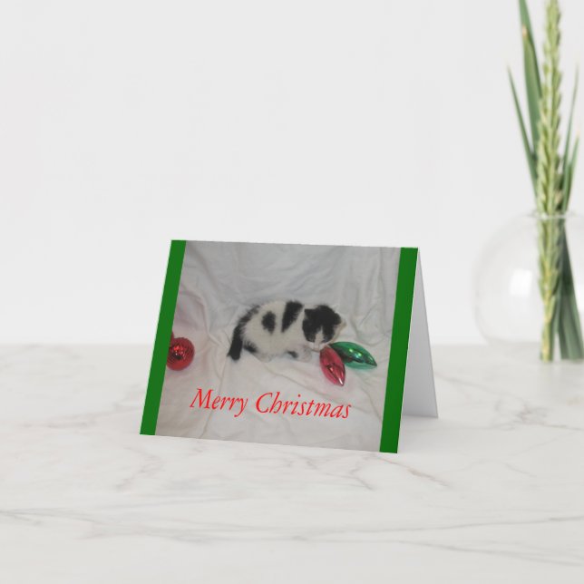 Carte de chaton de Noël (Devant)