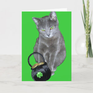 Carte de chaton du jour de St Patrick