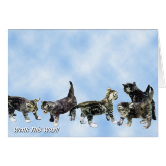 Carte de chatons - mignonne