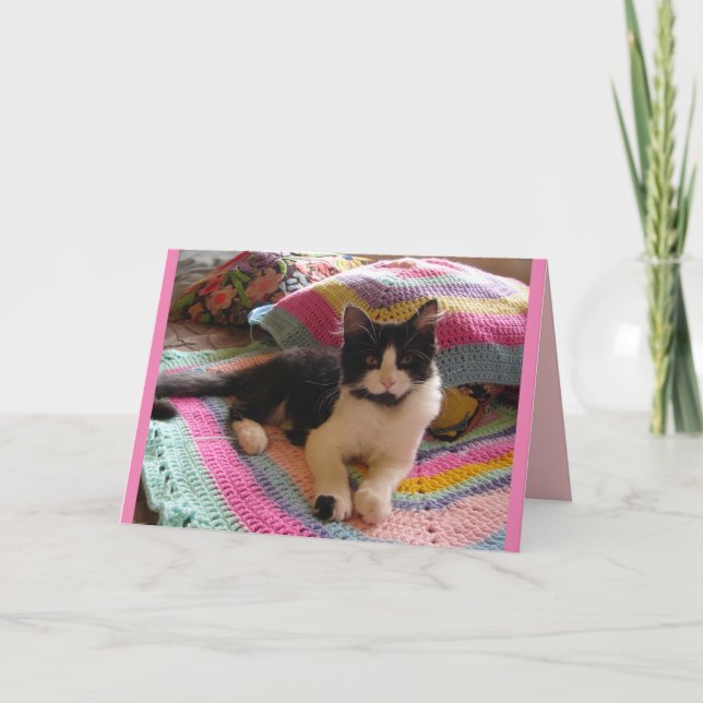 Carte de chats de chat tuxedo mignon dormant sur u (Devant)