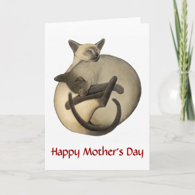 Carte de chats Siamese (Devant)