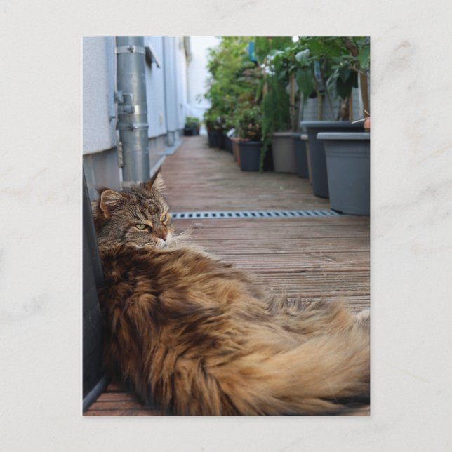 Carte de chauffage domestique ou simplement déplac (Devant)