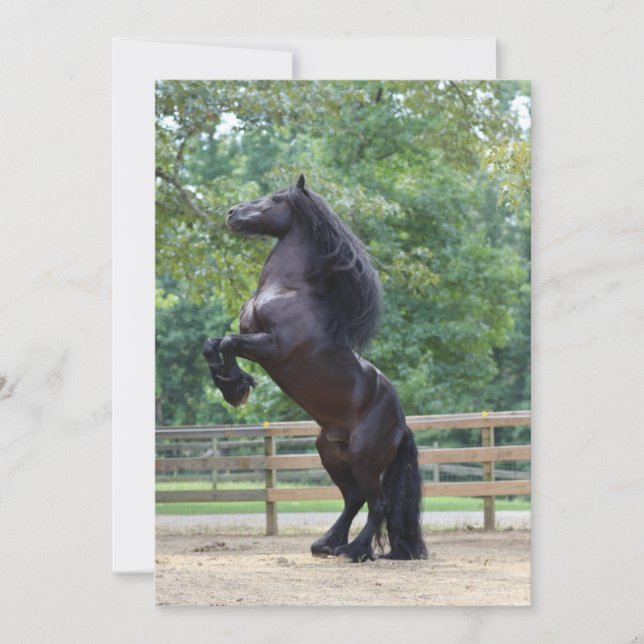 Carte de cheval noir (Devant)