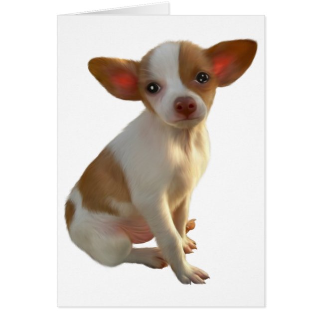 Carte de chien (Devant)
