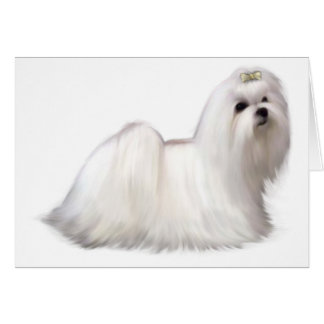 Carte de chien