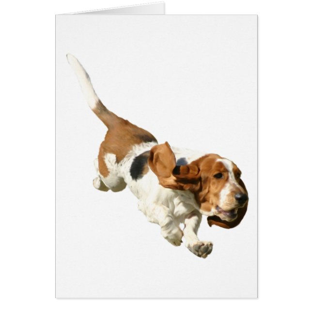 Carte de chien (Devant)