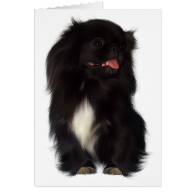 Carte de chien (Devant)