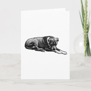 Carte de chien à oeil chaud
