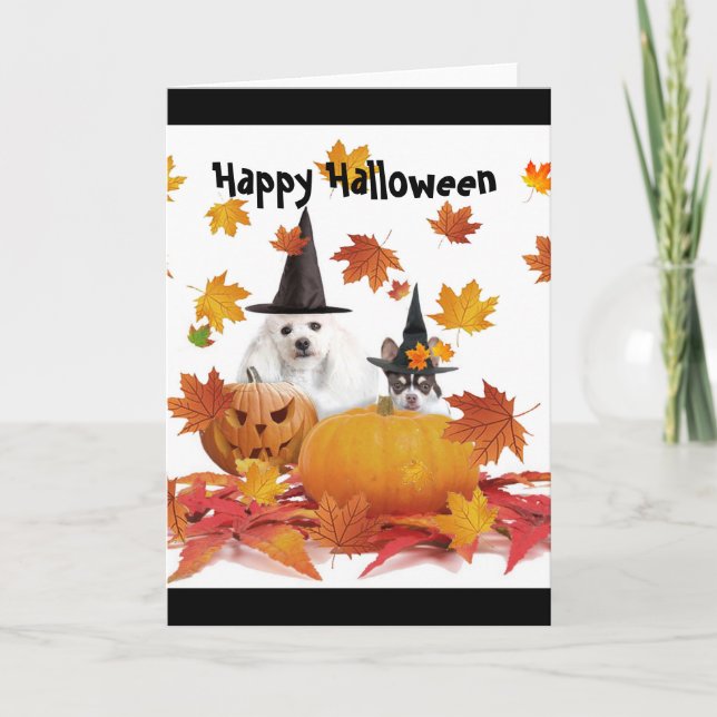 Carte de chien de caniche d'Halloween et de chihua (Devant)