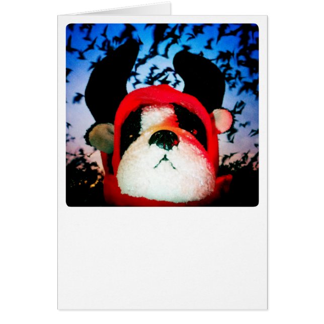 Carte de chien de diable (Devant)