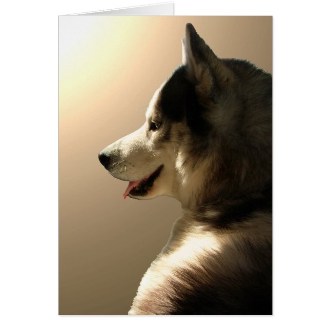 Carte de chien de traîneau sibérien/carte Malamute (Devant)