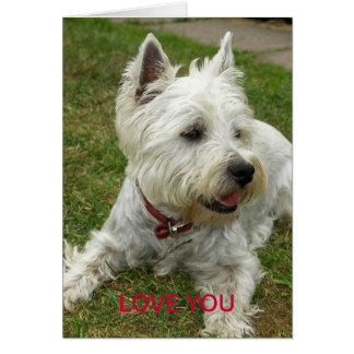 Carte de chien de Westie