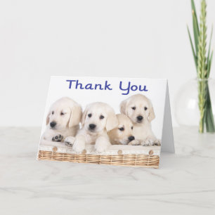 Carte de Chiens de Chien de Chien de Chien de Chie