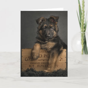 Carte de chiot berger allemande.