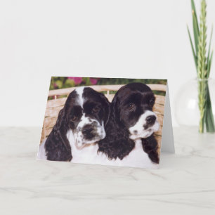 Carte de chiot Cocker noir et blanc