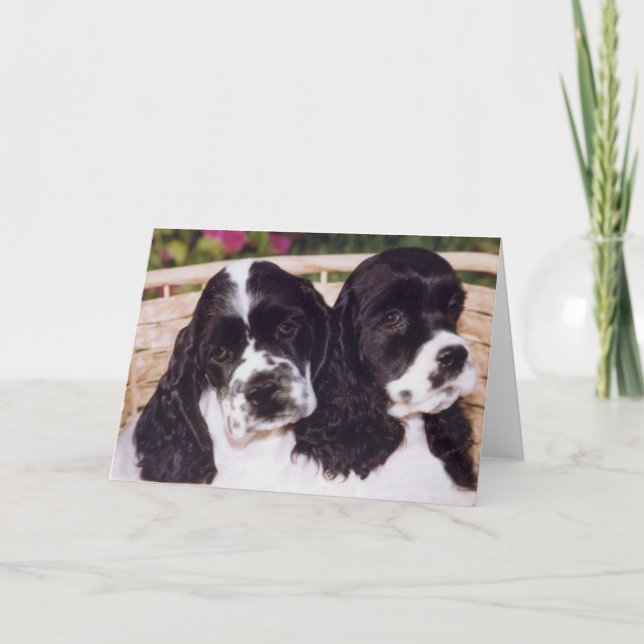 Carte de chiot Cocker noir et blanc (Devant)