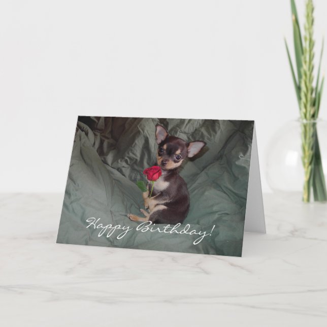 Carte de chiot de chiwawa de joyeux anniversaire (Devant)