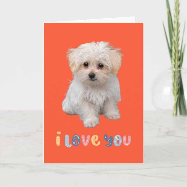 Carte de chiot mignonne, je t'aime, adorable carte (Devant)