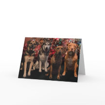 Carte de chiots de Joyeux Noël