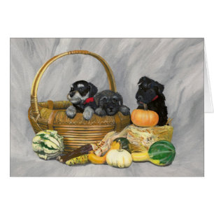 Carte de chiots de schnauzer "de temps de récolte"