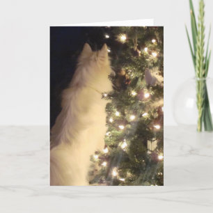 Carte de Chiristmas
