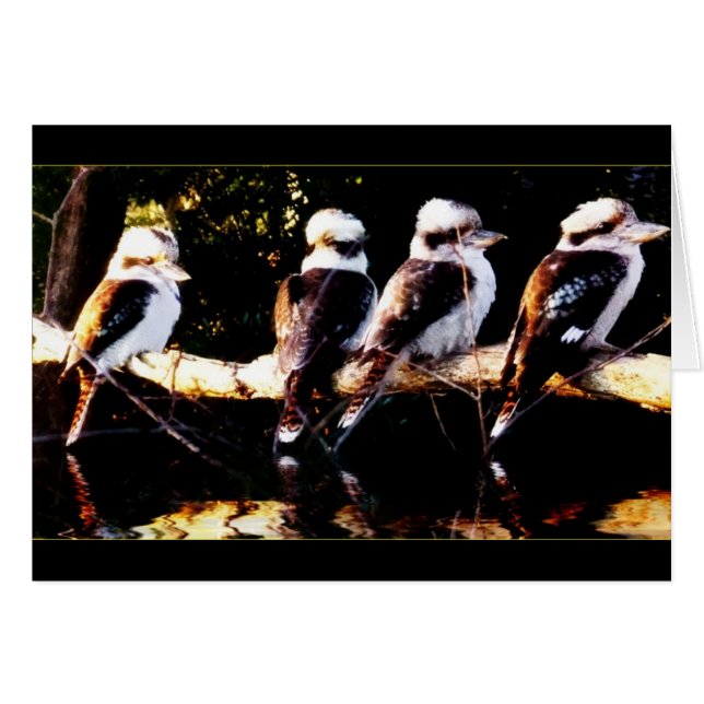 Carte de chorale aux oiseaux Kookaburra (Devant horizontal)