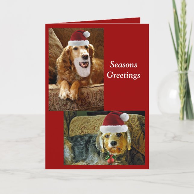 carte de Chris (Devant)