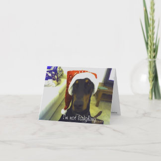 Carte de Christmast de dobermann