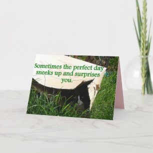 Carte de citation de chat Tuxedo cachant une journ